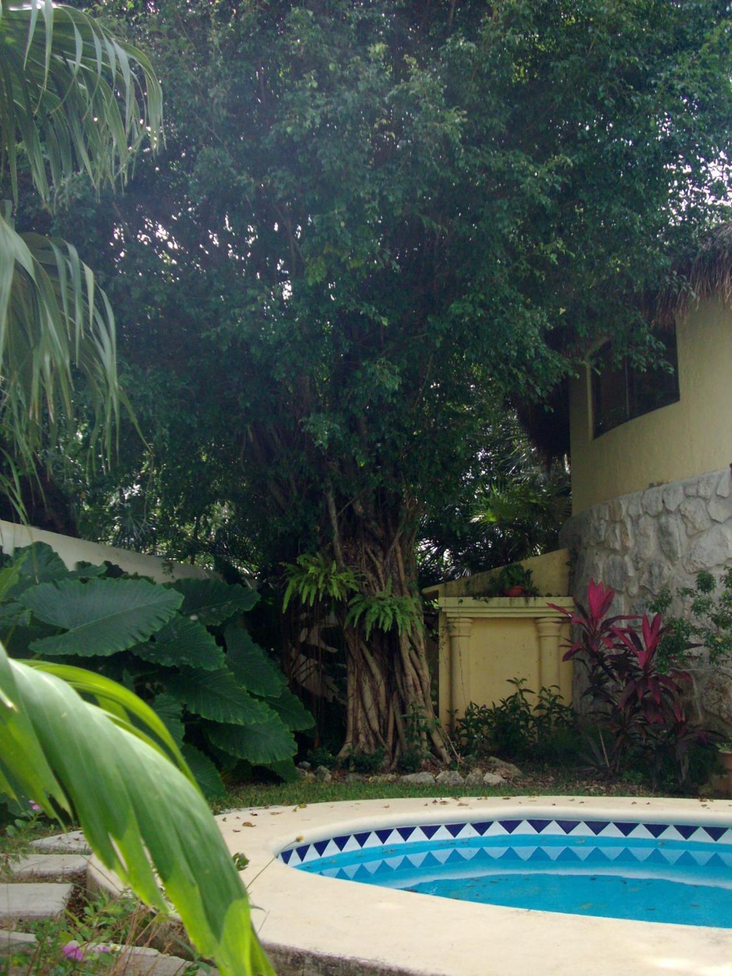 קנקון Residencia Los Encantos מראה חיצוני תמונה
